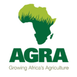 Technical Field Program Manager at AGRA (Alliance for a Green Revolution in Africa)