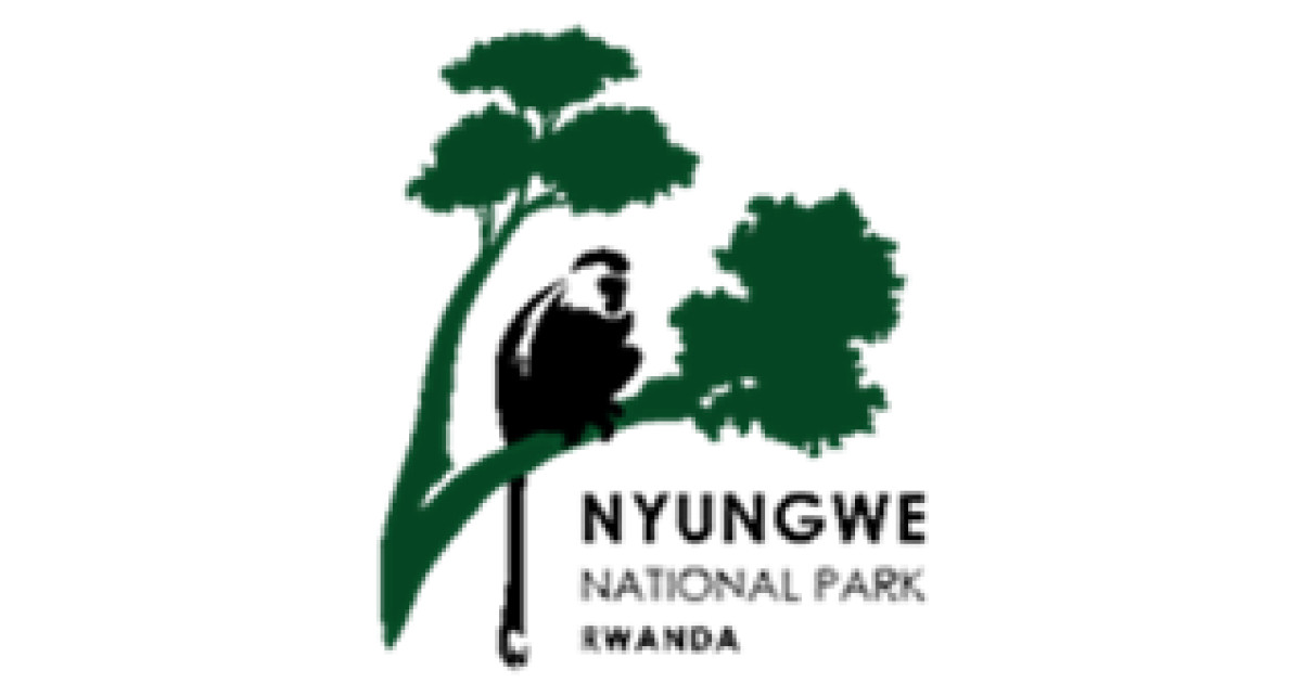 Forest Restoration Team Leader  20 Positions at Nyungwe Management Company Ltd